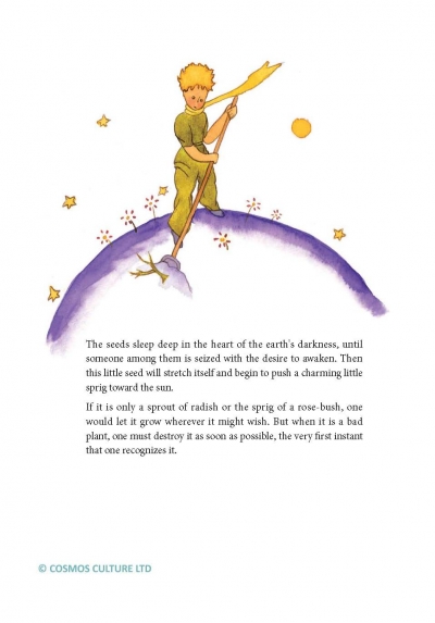 Cosmos Notebook：The Little Prince（2021年筆記書，25K軟精裝）